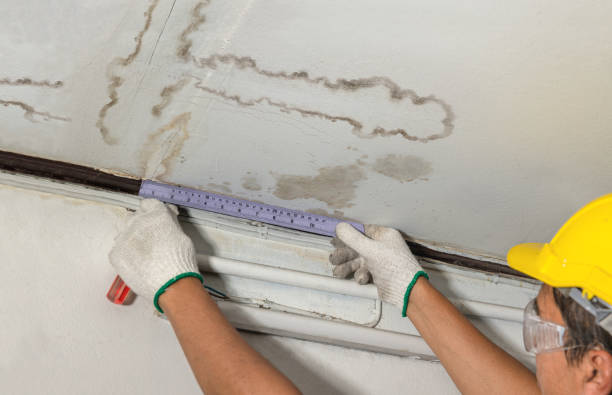 Reliable Water Damage Repair contractor in Northfield, MA by Aqua Guard Water Damage